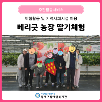 주간활동서비스 딸기체험(25. 3. 12.) 이미지
