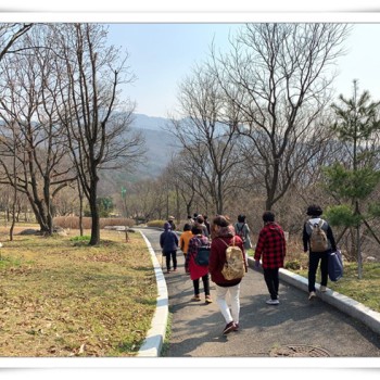 2019년 녹색자금 지원사업 숲체험-교육 이미지