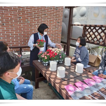 늘사랑장애인주간보호센터 사회적응지원 - 원예활동 (2021. 5. 7.) 이미지