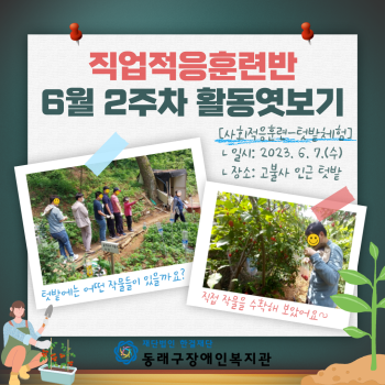 직업적응훈련반 6월 2주차 활동소식 이미지