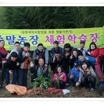 주간보호센터 주말농장 고구마 수확(11/14) 이미지